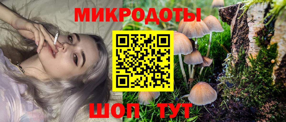 Псилоцибиновые грибы Magic Shrooms Муравленко